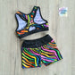 Rainbow Zebra Dynamite Set